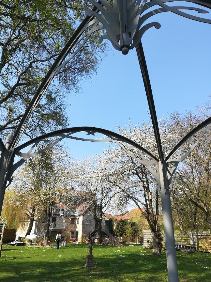 טונגרן B&B De Dubbelmolen מראה חיצוני תמונה
